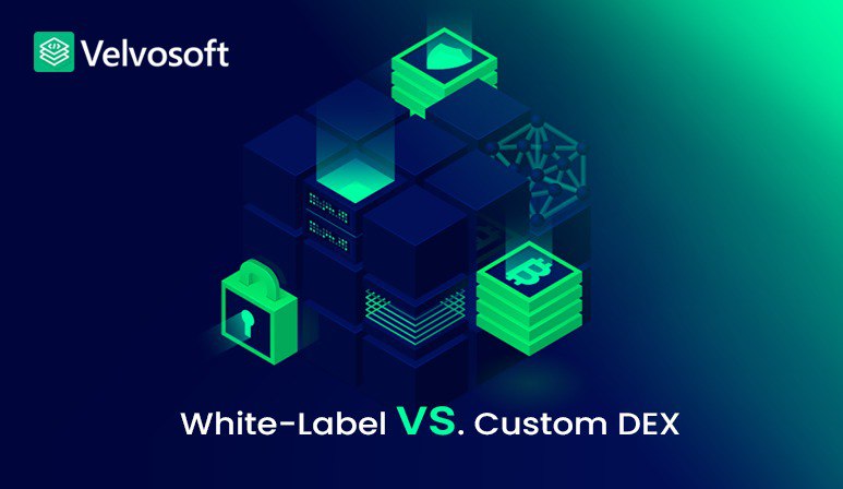 White-Label vs Custom DEX: Which is Right for Your Web3 Product Launch?