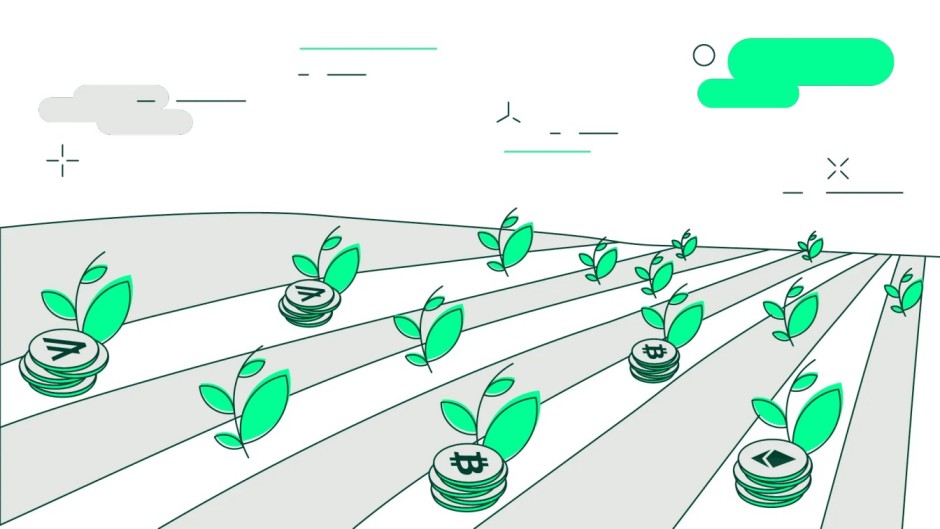 Yield Farming & Liquidity Mining